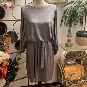 Silver Sandra Darren Dress.